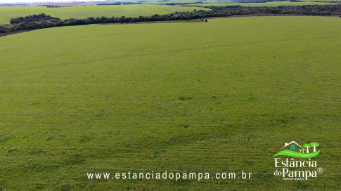 IMAGEM FIXA NA COXILHA.00_01_16_16.Quadro012_13355dc81f3aecf4934f512c530ec268607aefc8.jpg